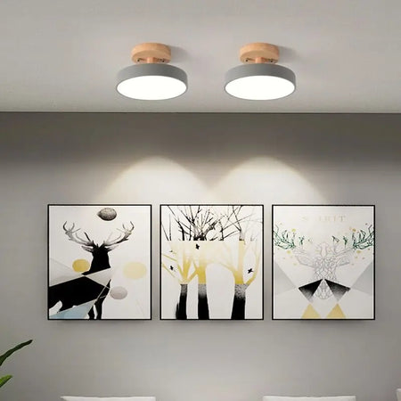 Ceiling Light - Nordic Style LED Chandelier for Living Room Kitchen SW-36210478 - SWEET-LIGHTS