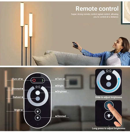 Floor Lamp - Modern LED Shelf Storage Lighting Dimmable with Remote Control SW-36210457 - SWEET-LIGHTS