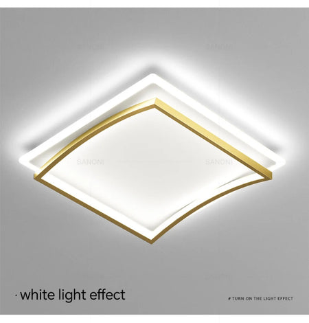 Ceiling Light - Modern LED Ceiling Lamp For Home Decor SW-36210345 - SWEET-LIGHTS