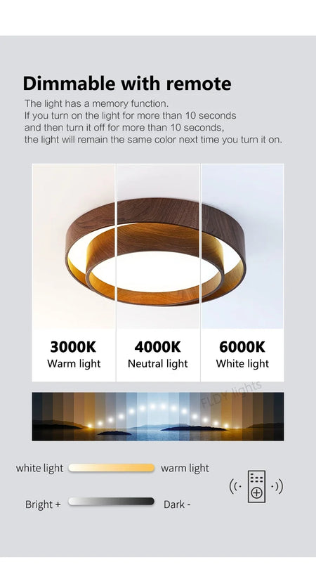 Ceiling Light - Modern LED Ceiling Lamps For Living Room SW-36210347 - SWEET-LIGHTS