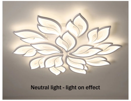 Ceiling Light - Modern LED Ceiling Chandeliers Light for Living Dining Room Bedroom Ceiling Lamps With Remote Control Dimmable Lights Fixtures SW-36210347 - SWEET-LIGHTS