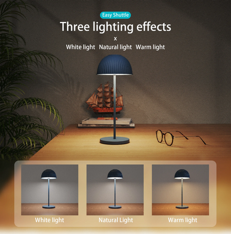 Table Lamp - Modern Luxury Cordless LED Rechargeable Night Light SW-36210478 - SWEET-LIGHTS