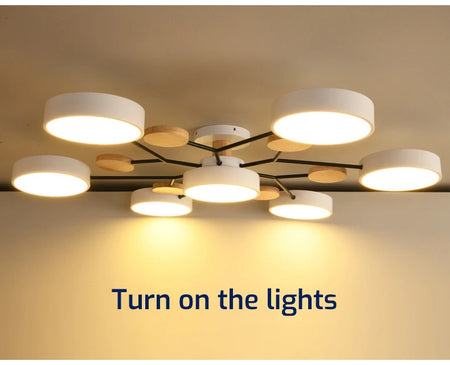 Ceiling Light - Nordic Style LED Chandelier for Living Room Kitchen SW-36210478 - SWEET-LIGHTS