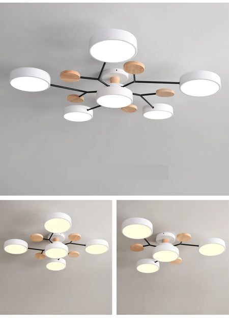 Ceiling Light - Nordic Style LED Chandelier for Living Room Kitchen SW-36210478 - SWEET-LIGHTS