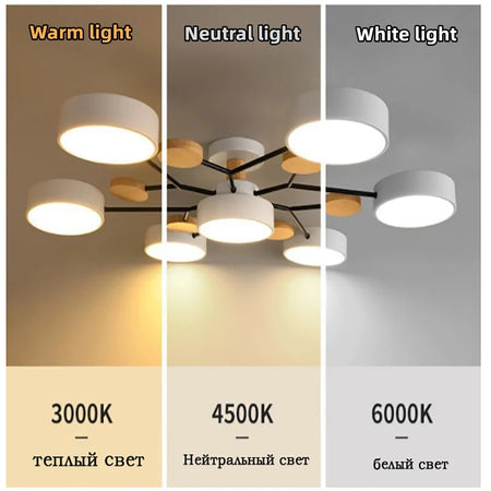 Ceiling Light - Nordic Style LED Chandelier for Living Room Kitchen SW-36210478 - SWEET-LIGHTS